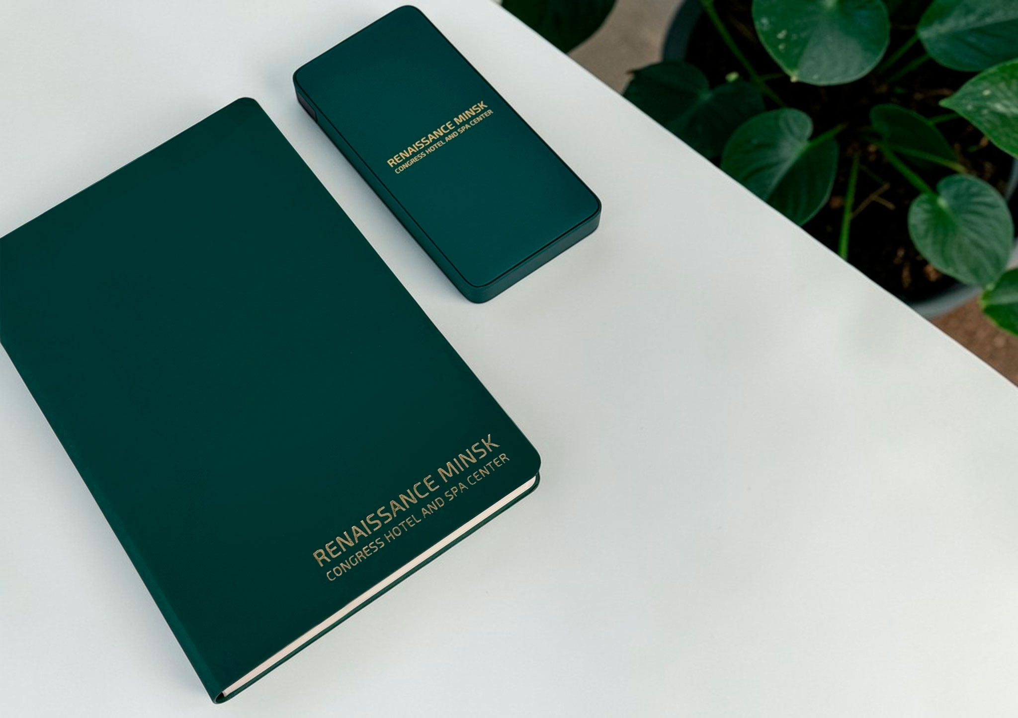 portfolio-image